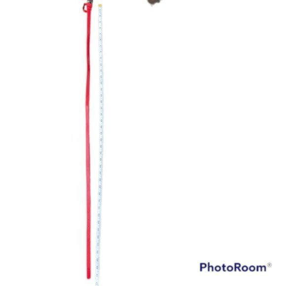 Forever 21 Women’s Skinny Red Belt. Size S/M - Picture 5 of 6